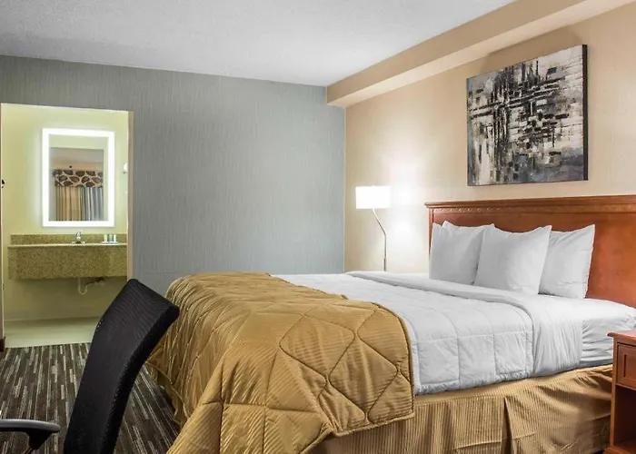 Lifestyle Inn Cedar Falls